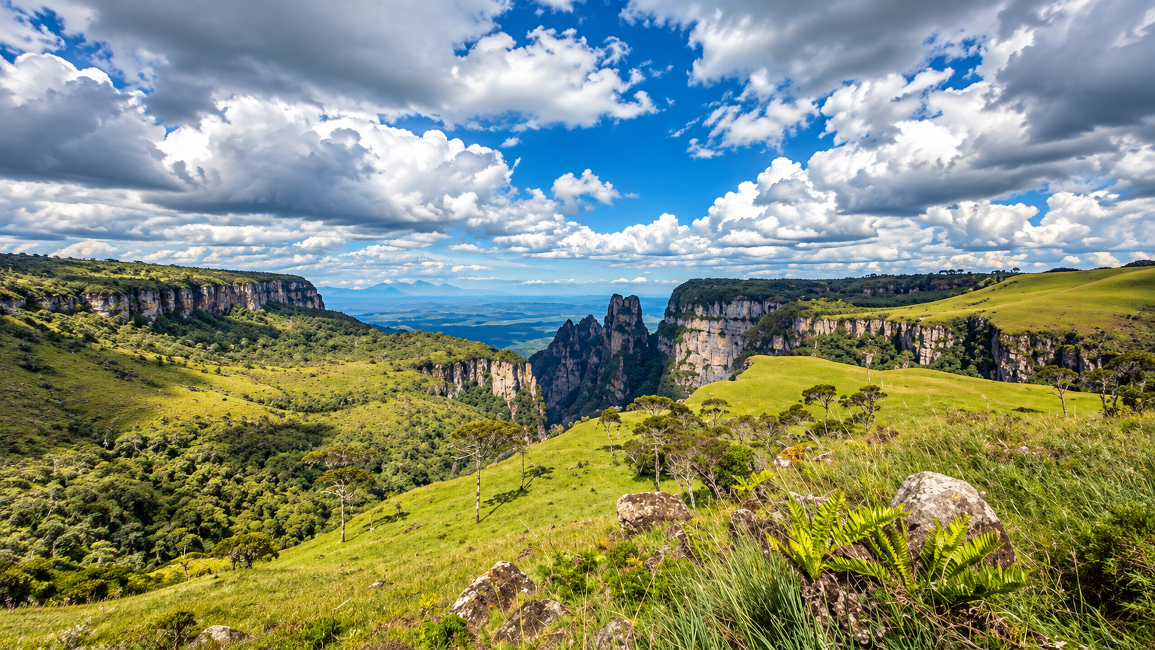 Vista aérea de montanhas e mata nativa